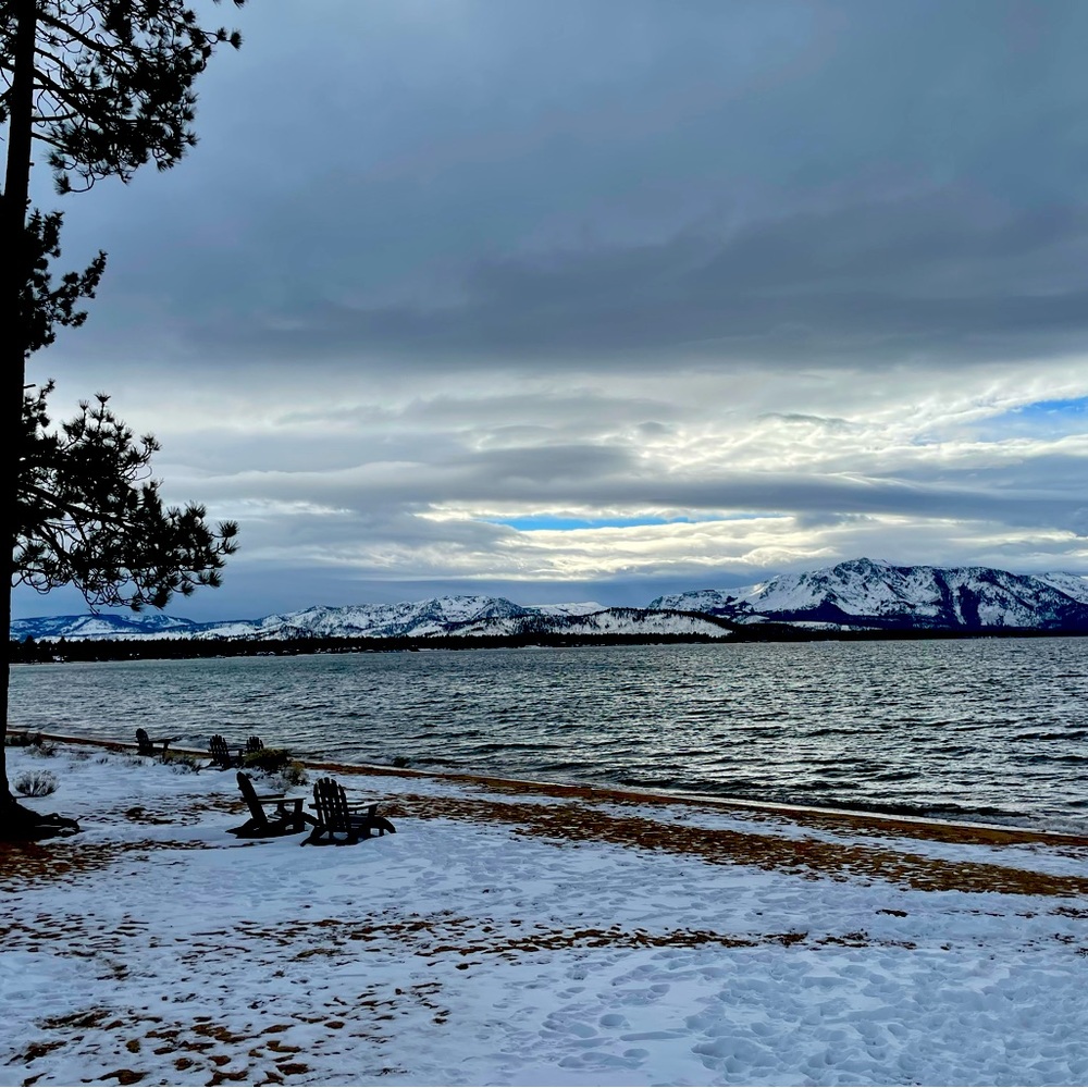 Meet your Posher, Oscar